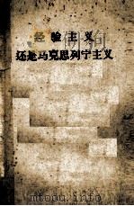 经验主义还是马克思列宁主义（ PDF版）