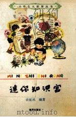迷你知识宫 1992 PDF电子版封面 7502719393 许延风编著