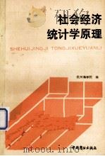 社会经济统计学原理 1988.07 PDF电子版封面 杭州商学院编