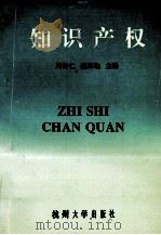 知识产权（1993 PDF版）