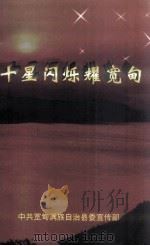 十星闪烁耀宽甸（1999 PDF版）