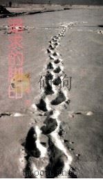 追求的脚印（1990 PDF版）