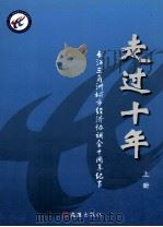 走过十年 上 长江三角洲城市经济协调会十周年纪事 PDF电子版封面 陈荣堂主编