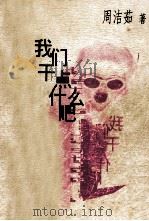 我们干点什么吧（1999 PDF版）