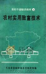 农村实用致富技术  农村干部培训教材（1992 PDF版）
