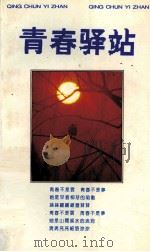 青春驿站（1993 PDF版）