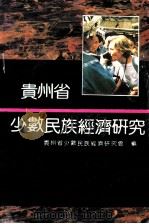 贵州省少数民族经济研究（1992 PDF版）
