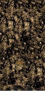 钦定续文献通考 9 PDF电子版封面 (清)嵇璜等撰