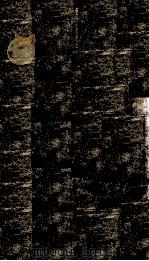 读通鉴论  卷12-卷13（ PDF版）