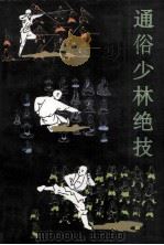 通俗少林绝技（1996 PDF版）