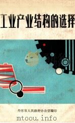 工业产业结构的选择  丹东市调整工业产业结构研讨会论文集（1988 PDF版）