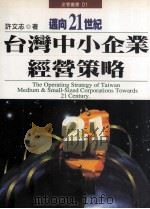 迈向21世纪台湾中小企业经营策略 1998 PDF电子版封面 9579272387 许志文著