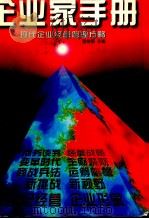 企业家手册 现代企业经营管理方略 1997 PDF电子版封面 7800017028 罗锐韧主编
