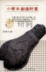 小资本创造财富（ PDF版）