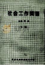 社会工作英语  下（ PDF版）