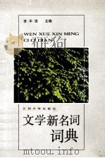 文学新名词词典（1990.12 PDF版）