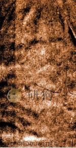 钦定续通志  147（ PDF版）