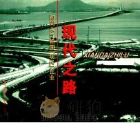现代之路 郑周永与韩国“现代”企业 1996 PDF电子版封面 7108009854 (韩)金明壕主编;安荣洙,张琳编写