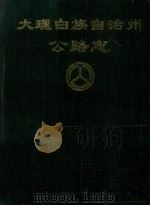 大理白族自治州公路志 1993 PDF电子版封面 下关公路管理总段编
