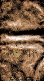 二十四史  金史  卷7、卷10（ PDF版）