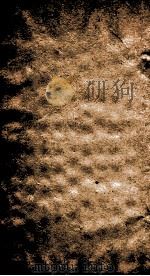 二十四史 宋史 263-265 PDF电子版封面