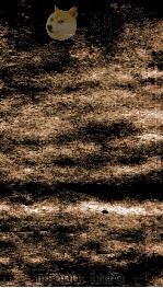 二十四史  元史  卷94-96（ PDF版）