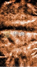 二十四史  史记  卷82-87（ PDF版）