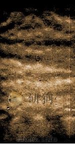 二十四史  北史  卷27-29（ PDF版）