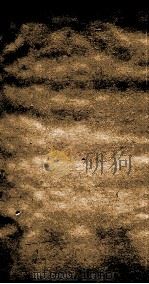 二十四史  北史  卷34-36（ PDF版）