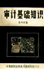 审计基础知识（ PDF版）