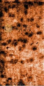 十三经注疏  公羊注疏目录、序、原目、原目考证  卷1-3、考证（ PDF版）