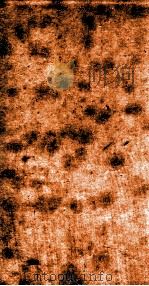 十三经注疏  公羊注疏  卷23-25、考证（ PDF版）