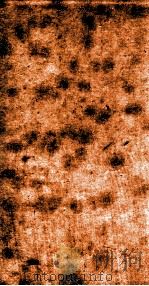 十三经注疏  论语注疏目录、解序、卷1-6、考证（ PDF版）