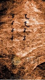 清文汇书  5（ PDF版）