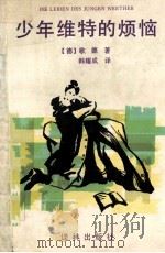 少年维特的烦恼（1995.04 PDF版）