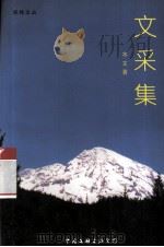 文采集（1998 PDF版）