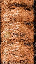 东垣十书  脾胃论  上、中（ PDF版）