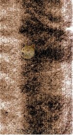 温热经纬  卷4   1928  PDF电子版封面    （清）王士雄（孟英） 