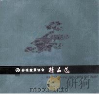 容桂盆景协会精品选（ PDF版）