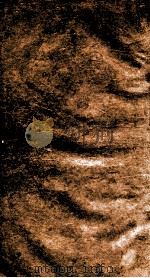 书画大观  3   1922  PDF电子版封面    俞丹林等编 