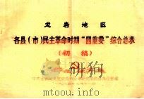 龙岩地区 各县(市)民主革命时期“四重要”综合总表 初稿 1985 PDF电子版封面 中共龙岩地委党史资料征集研究委员会办公室编