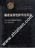 福建省恶性肿瘤地图集 1997 PDF电子版封面 7533510984 《福建省恶性肿瘤地图集》编纂委员会编;福建省肿瘤医院,福建省