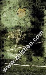 中国佛教史 1970 PDF电子版封面 宇井伯寿著;李世杰译