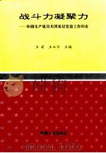 战斗力凝聚力 新疆生产建设兵团基层党建工作调查 1995 PDF电子版封面 7228034928 王梁,王云华主编;麻霞副主编