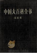 中国大百科全书 总索引 1998 PDF电子版封面 7500059973 中国大百科全书总编辑委员会