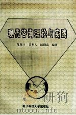 现代咨询理论与实践 1994 PDF电子版封面 7810432532 陈翔宇,甘利人,朗诵真编著