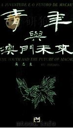青年与澳门未来 1994 PDF电子版封面 9728147309 吴志良著