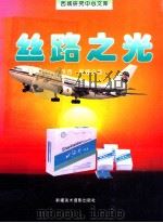 丝路之光  陕西·新疆分册（ PDF版）