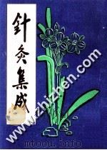 针灸集成  下（ PDF版）