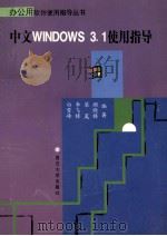 中文Windows 3.1使用指导 1995 PDF电子版封面 7309015991 白雪峰等,李飞峰,梁晟等编著